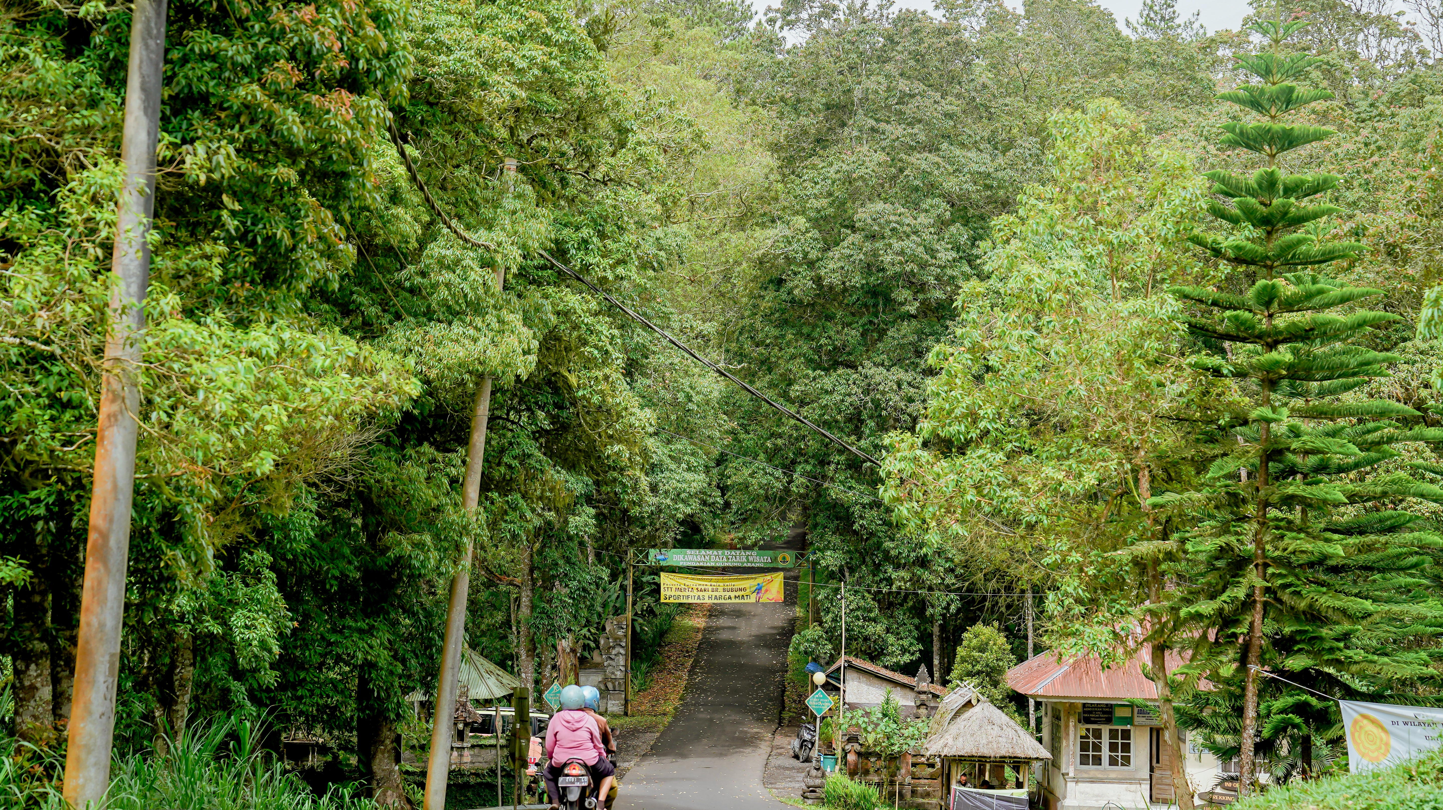 The Best Bali Hotels for Cyclists: Where Qunafa Stays