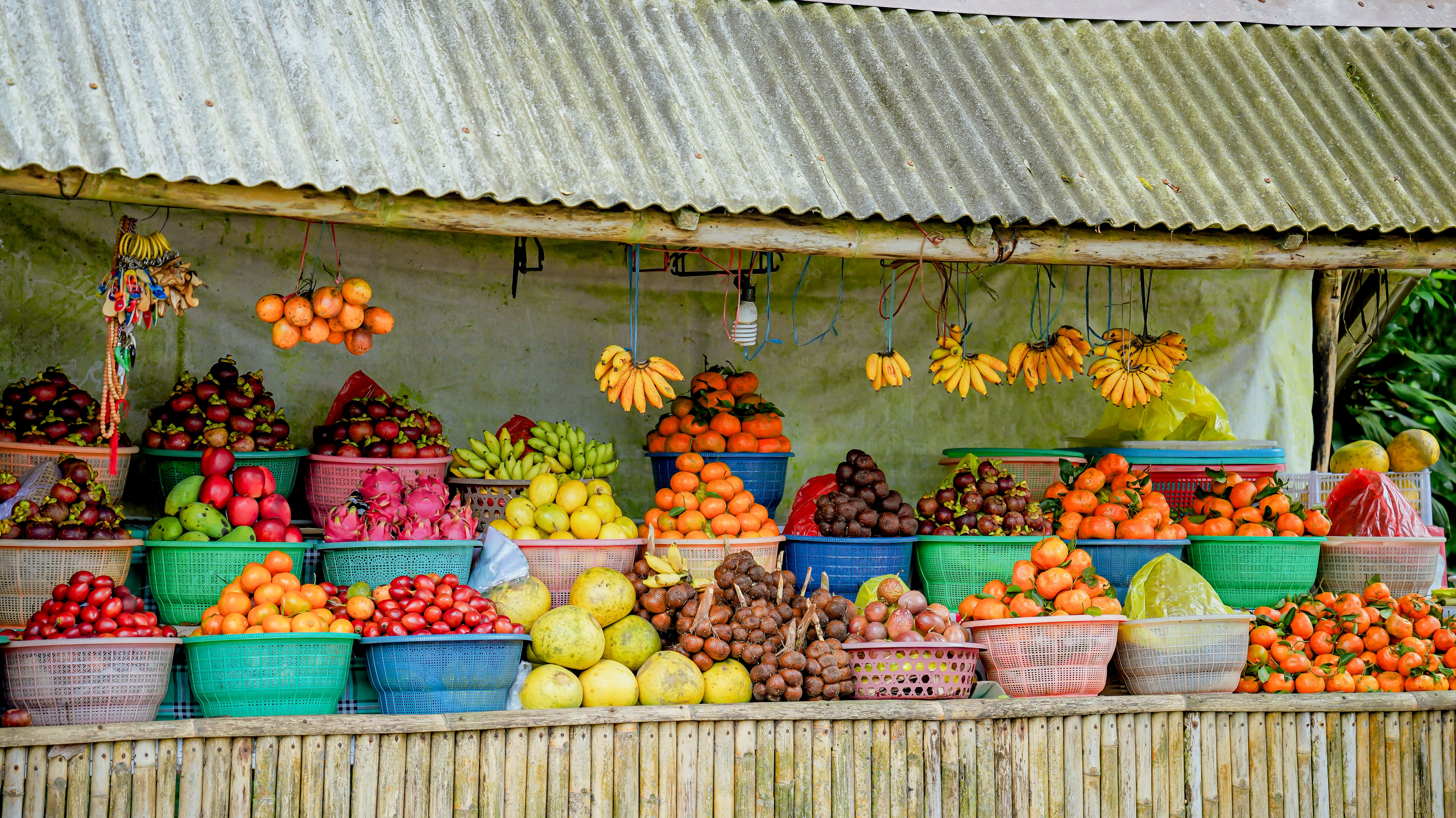 Solo vs Group Cycling in Bali: Which Is Right for You?