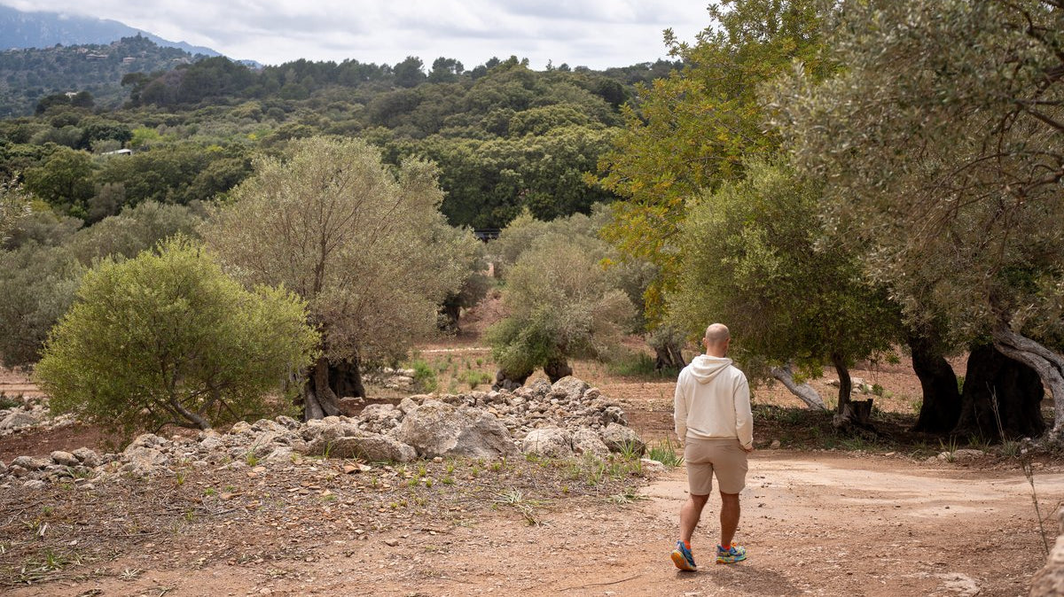 Spring vs Fall Cycling in Mallorca: Pro vs Casual Cyclist's Pick