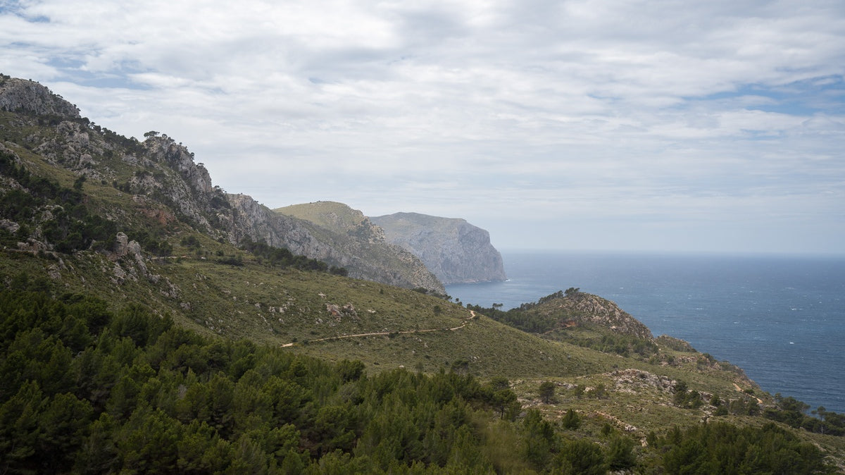 Premium Cycling Tours in Mallorca: What to Expect from a Boutique Experience