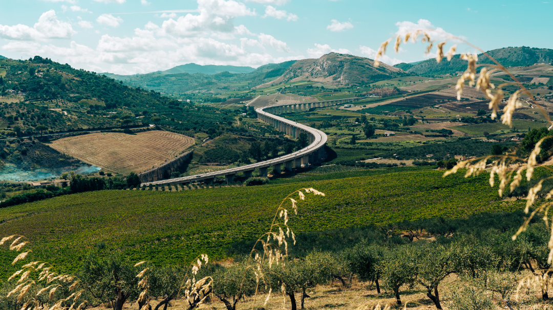 Why You Should Try The Qunafa Experience in 2023?