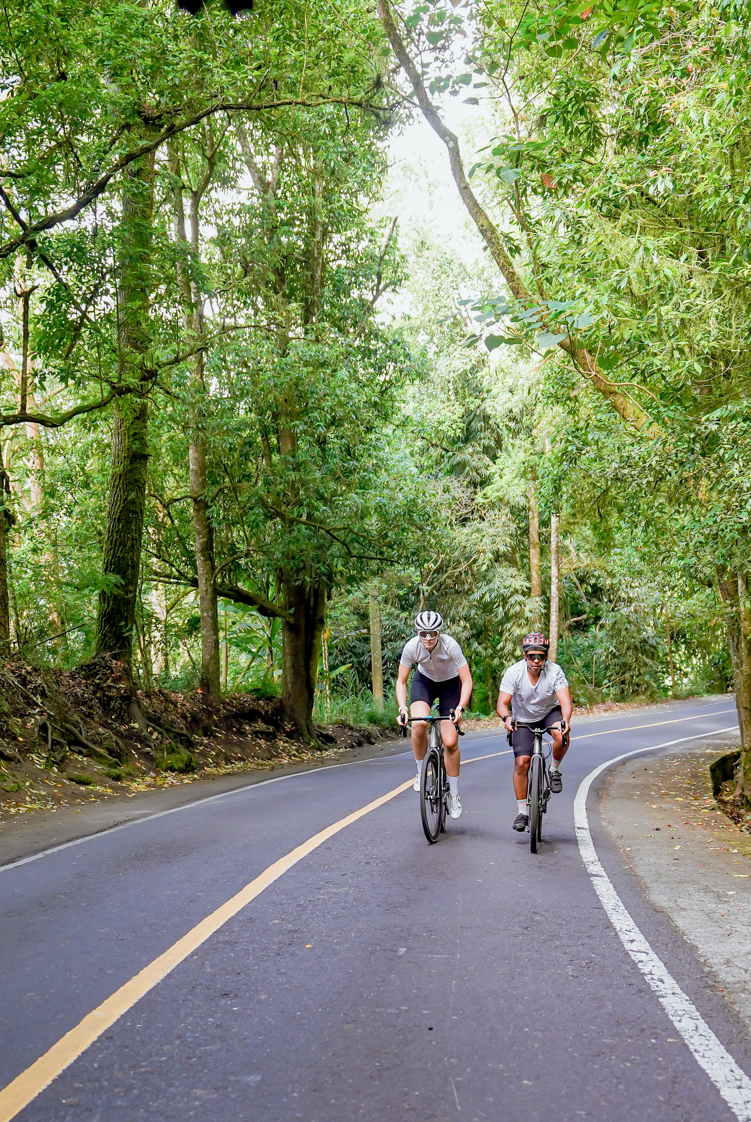 Group cycling tour descending Bali coastal road with ocean views — Qunafa Travel