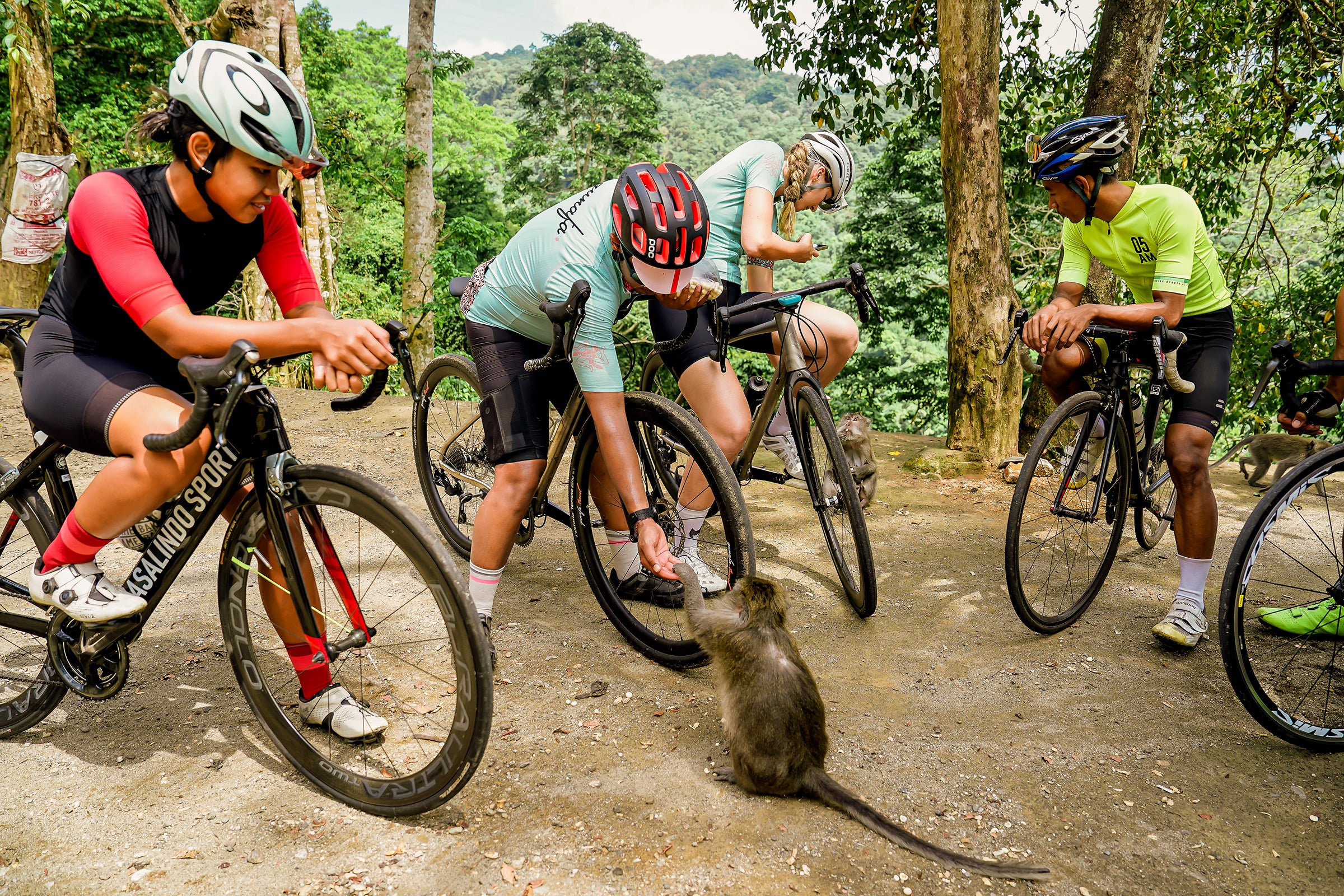Qunafa cyclist feeding the monkeys at monkey forest. By qunafa Travel