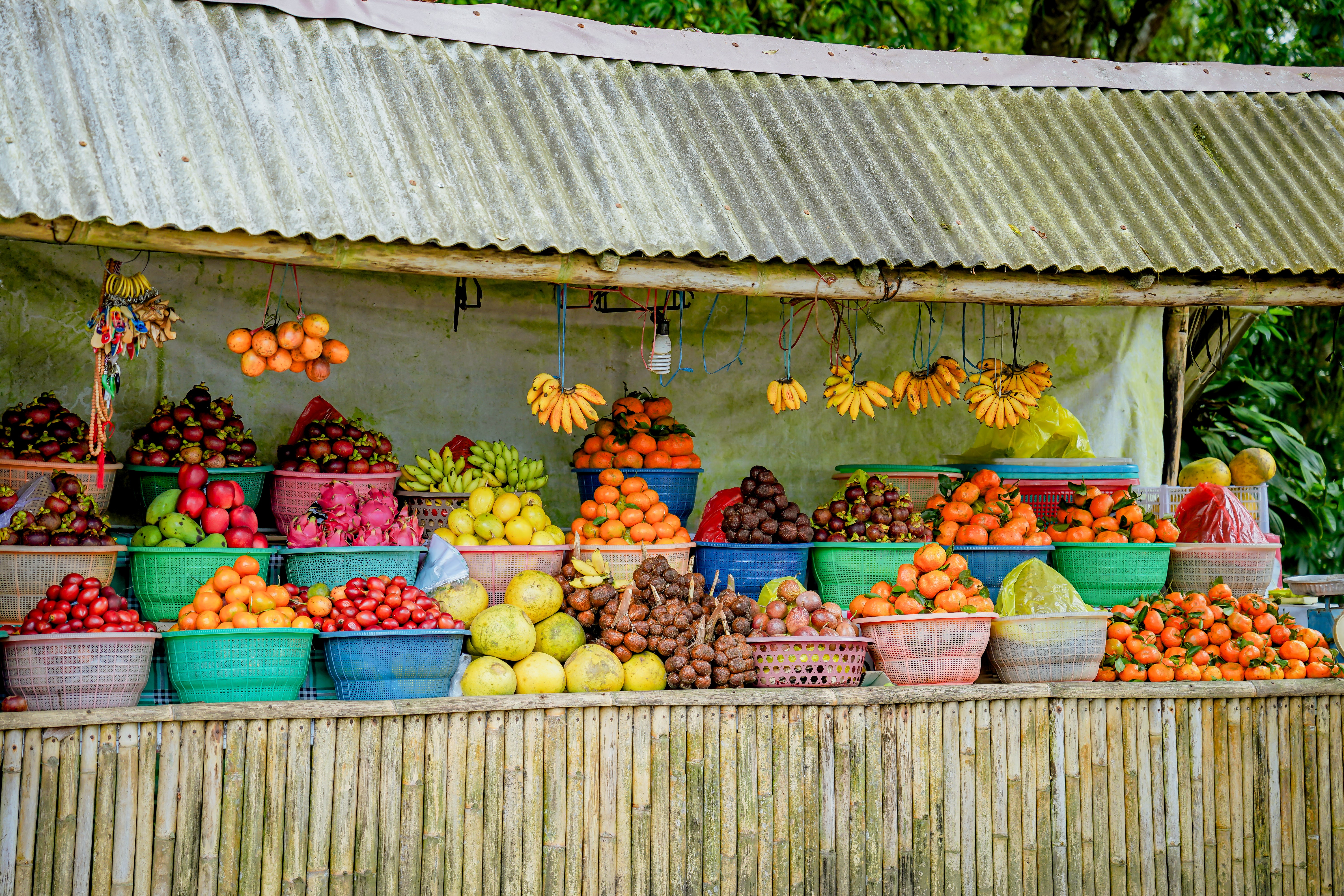 Solo vs Group Cycling in Bali: Which Is Right for You?