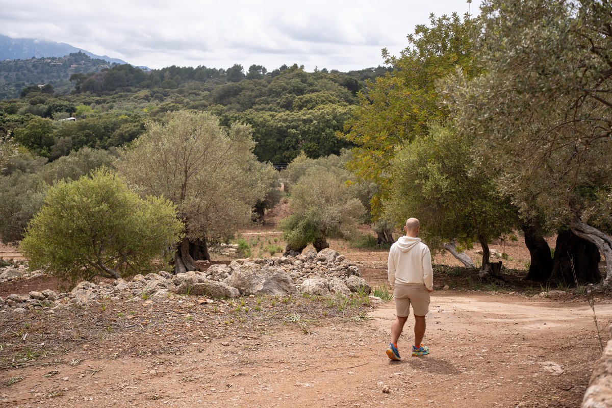 Spring vs Fall Cycling in Mallorca: Pro vs Casual Cyclist's Pick