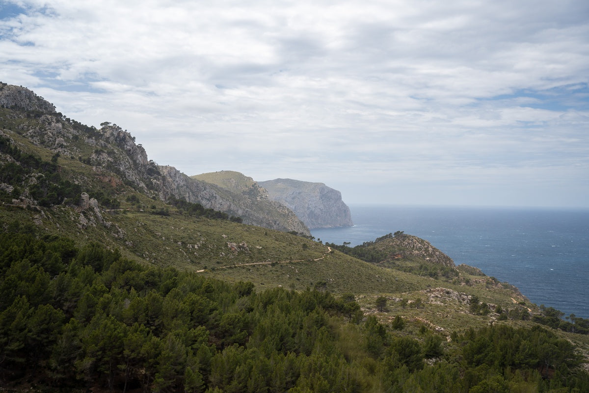 Premium Cycling Tours in Mallorca: What to Expect from a Boutique Experience