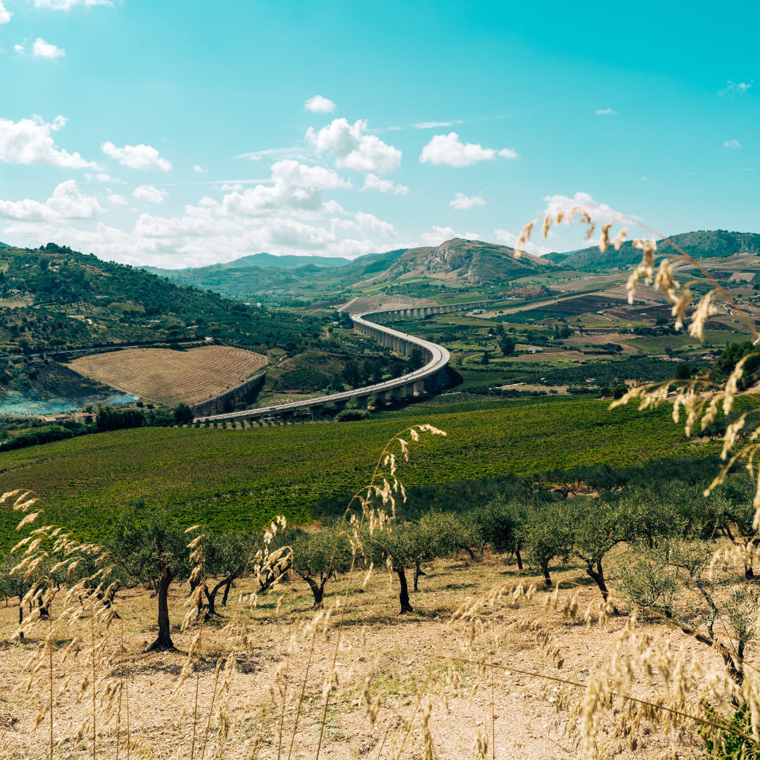 Why You Should Try The Qunafa Experience in 2023?