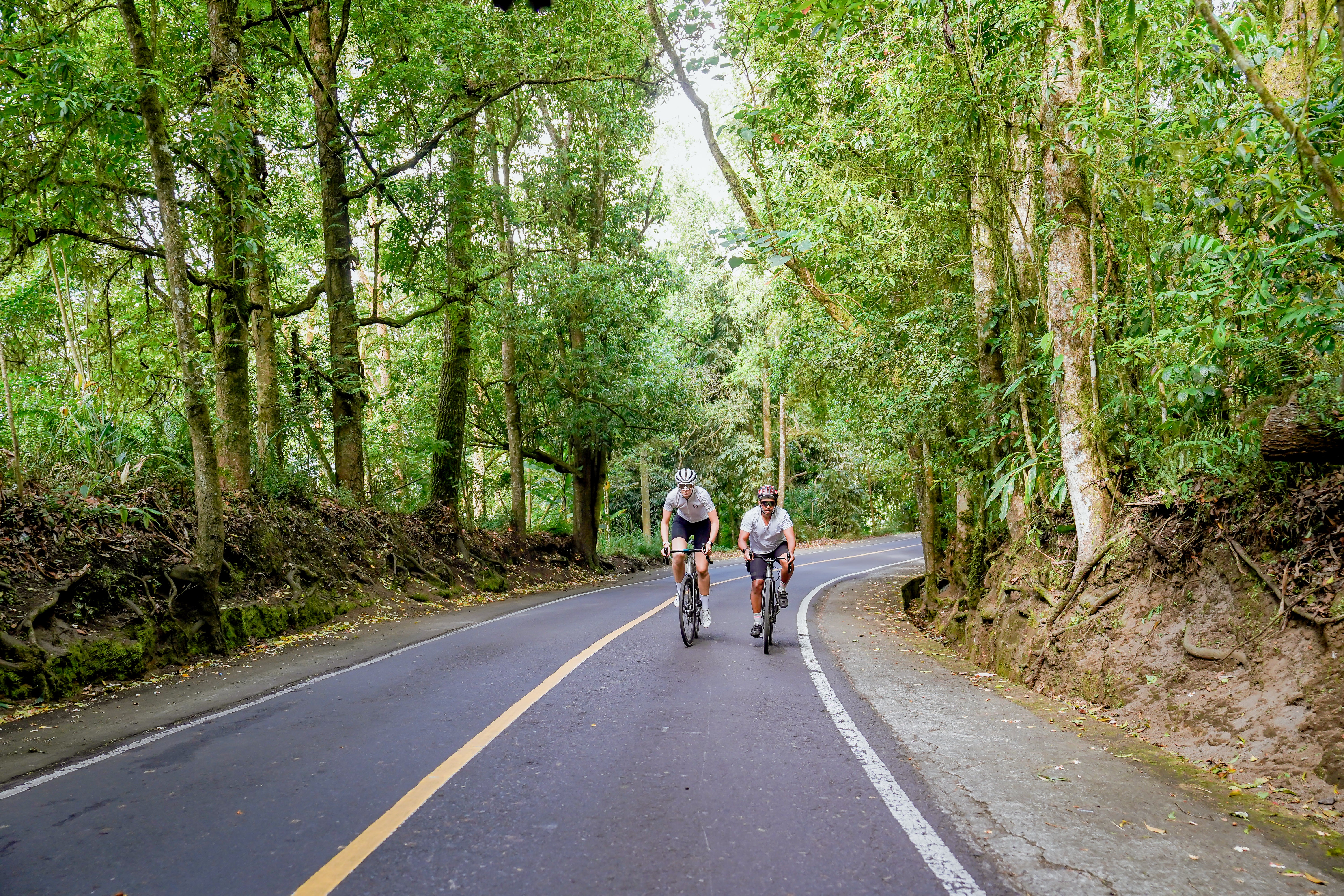 Group of cyclists descending a scenic Bali road with ocean views — Qunafa Travel guided tour